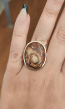 Load image into Gallery viewer, Sterling silver petrified wood statement ring